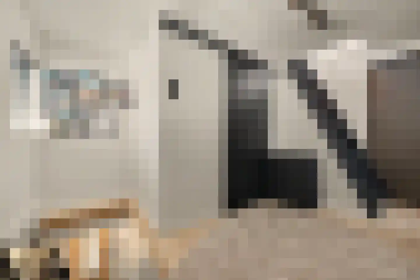 Westeinde 8 Waalwijk thumbnail 22