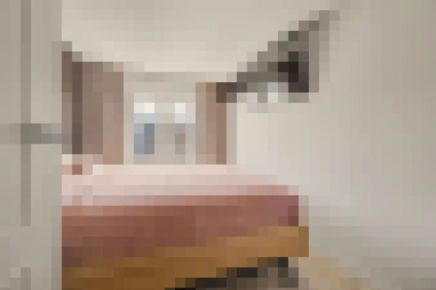 Westeinde 8 Waalwijk thumbnail 23