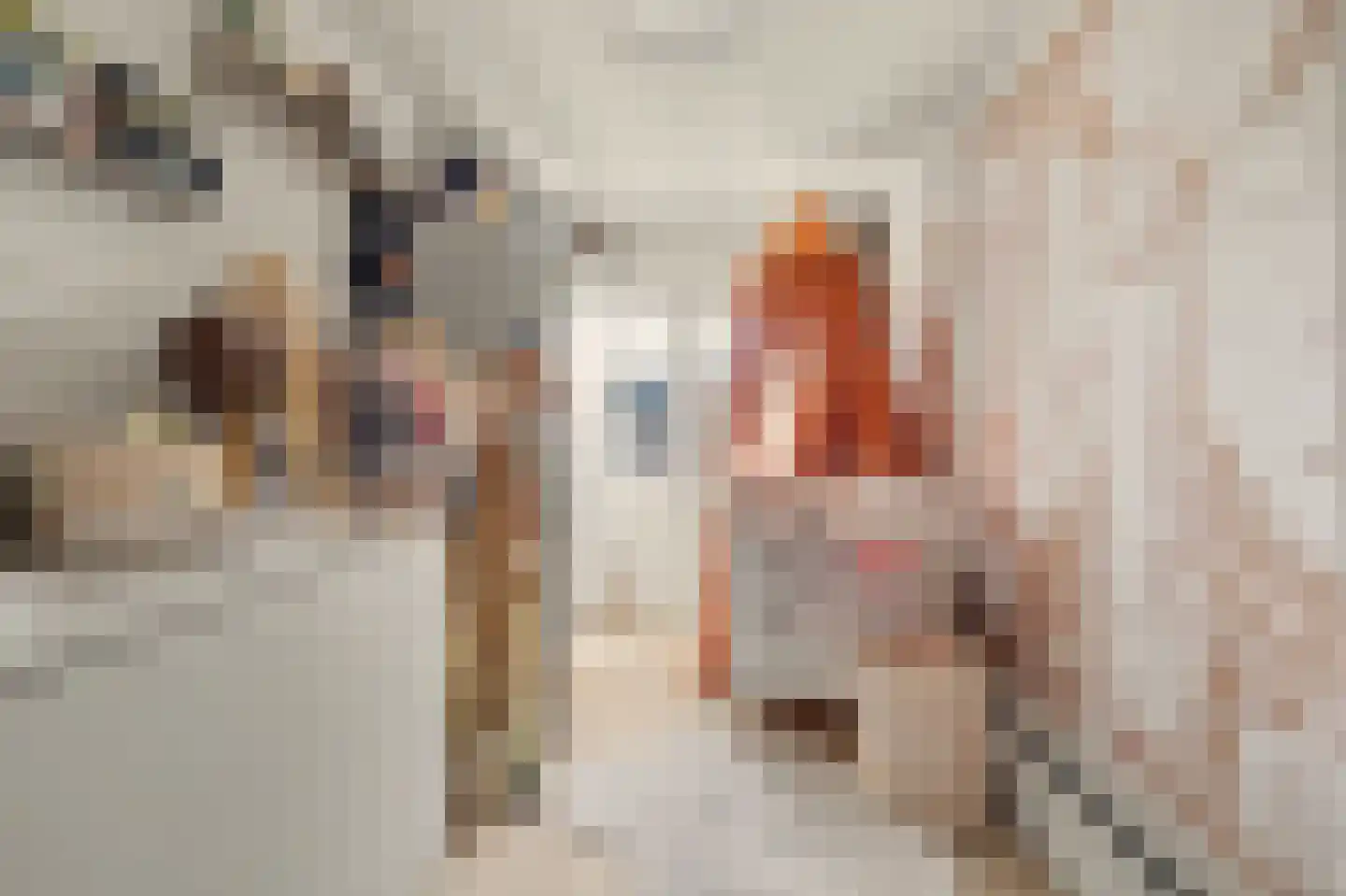 Westeinde 8 Waalwijk thumbnail 25