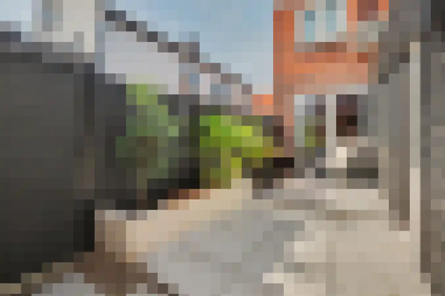 Westeinde 8 Waalwijk thumbnail 40