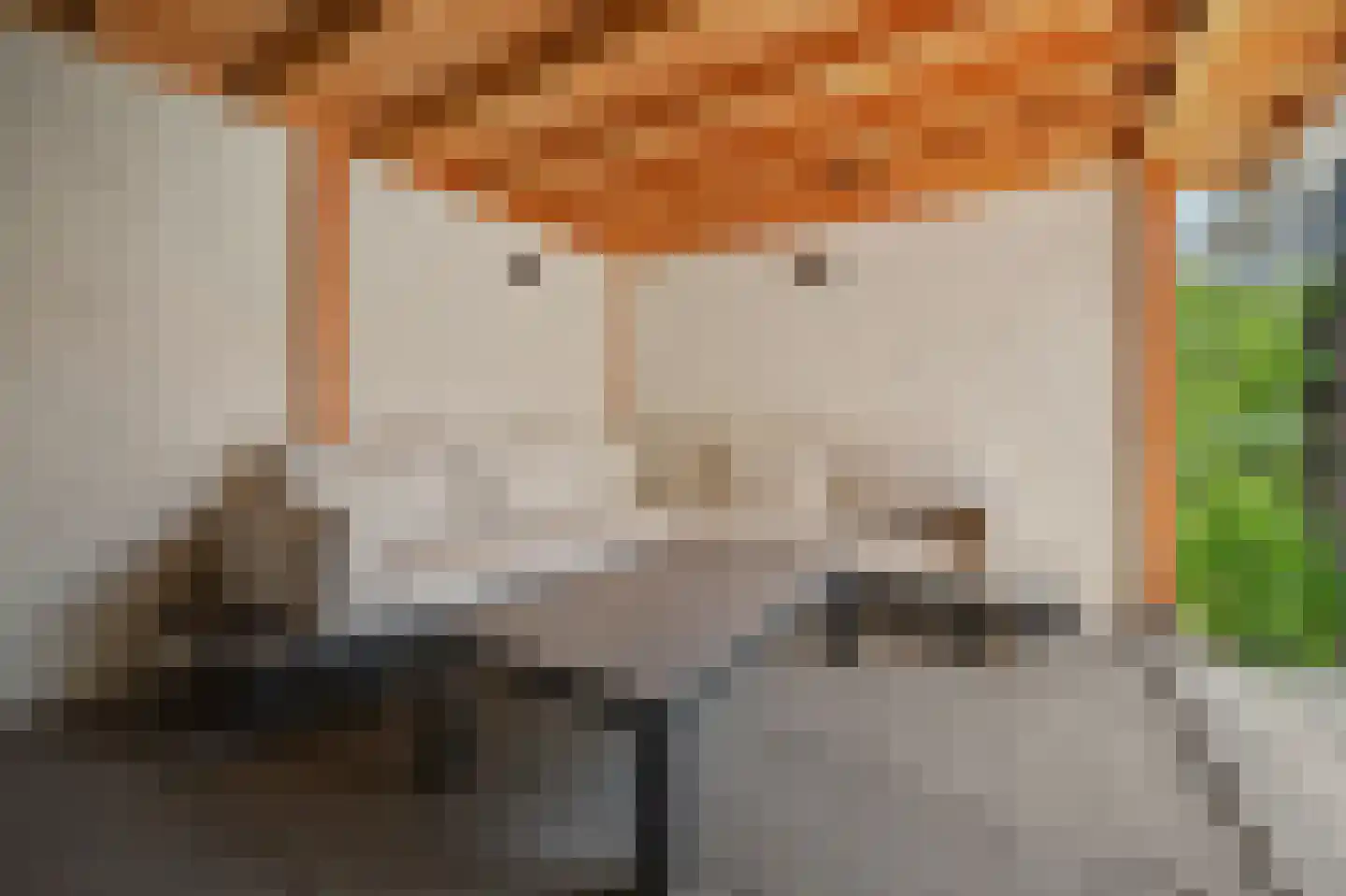 Westeinde 8 Waalwijk thumbnail 42