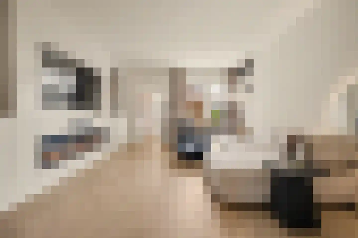 Westeinde 8 Waalwijk thumbnail 6