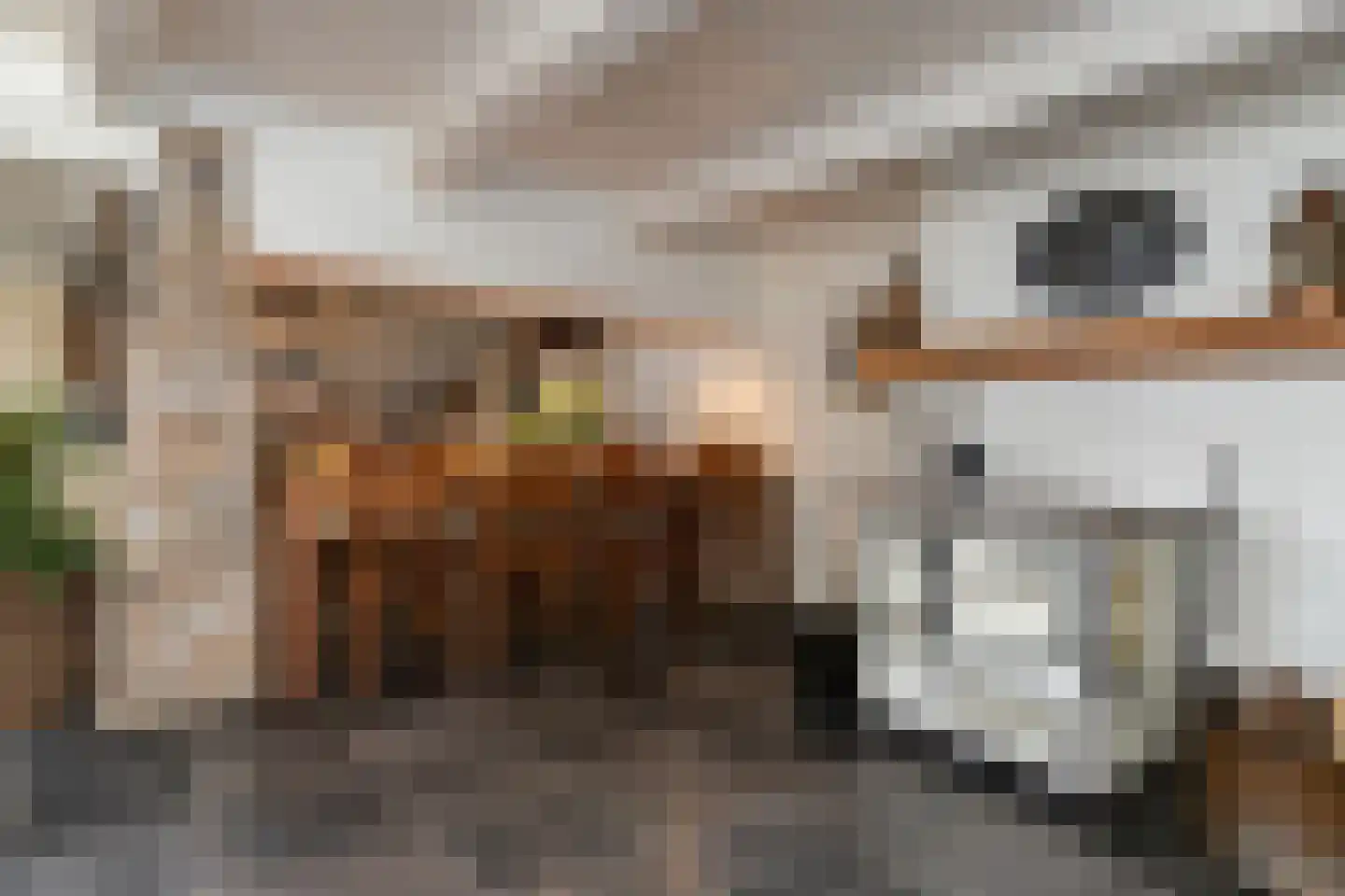 Westeinde 8 Wijngaarden thumbnail 18