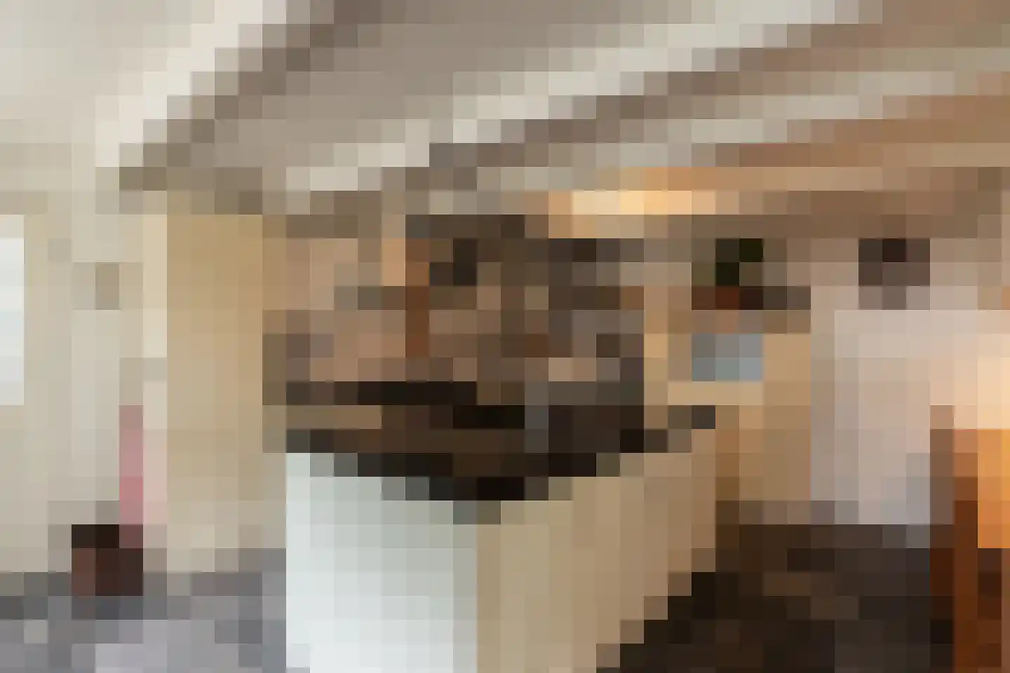 Westeinde 8 Wijngaarden thumbnail 20