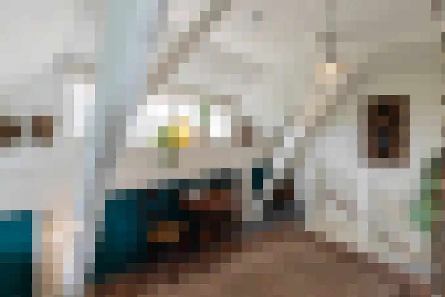 Westeinde 8 Wijngaarden thumbnail 27