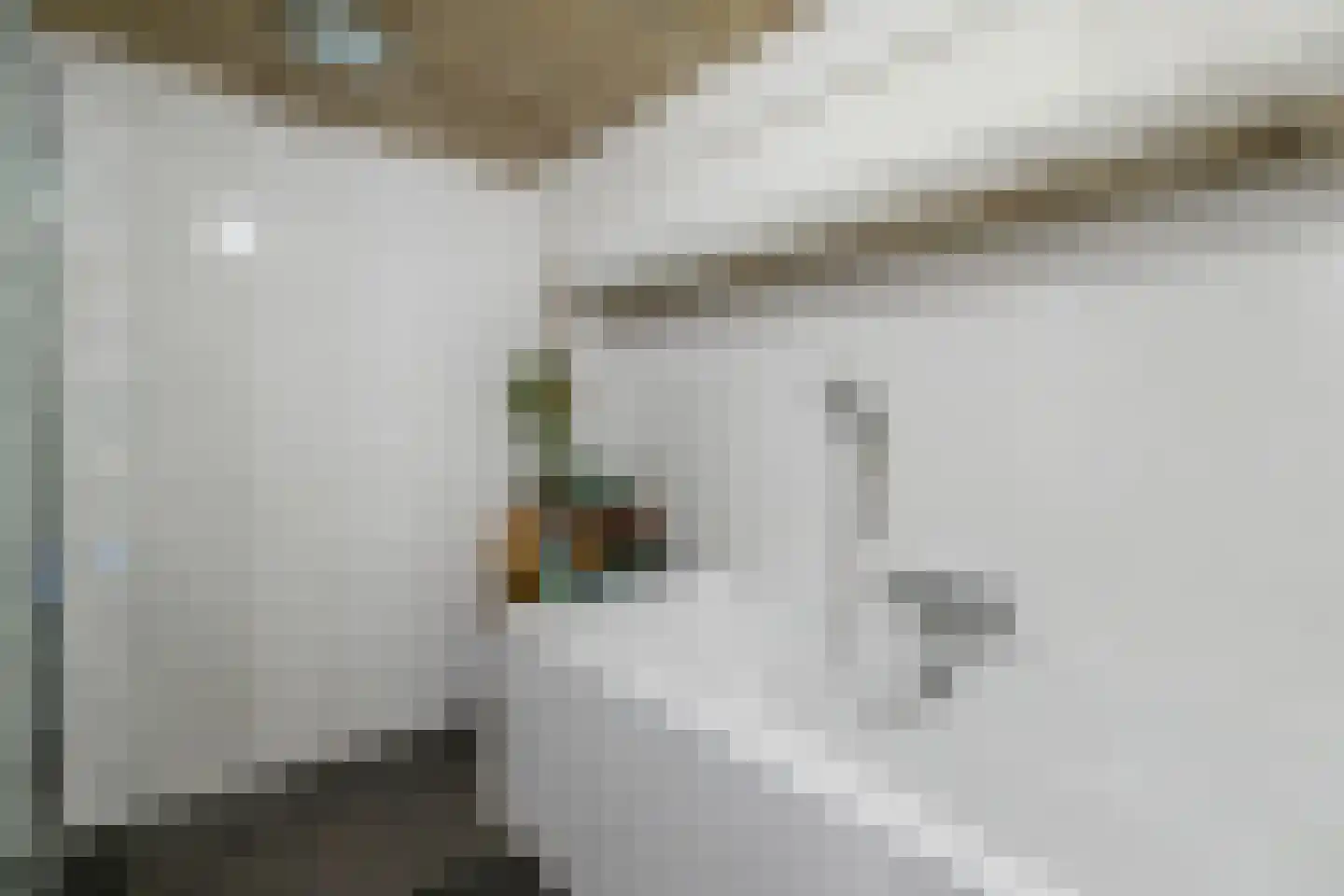 Westeinde 8 Wijngaarden thumbnail 30