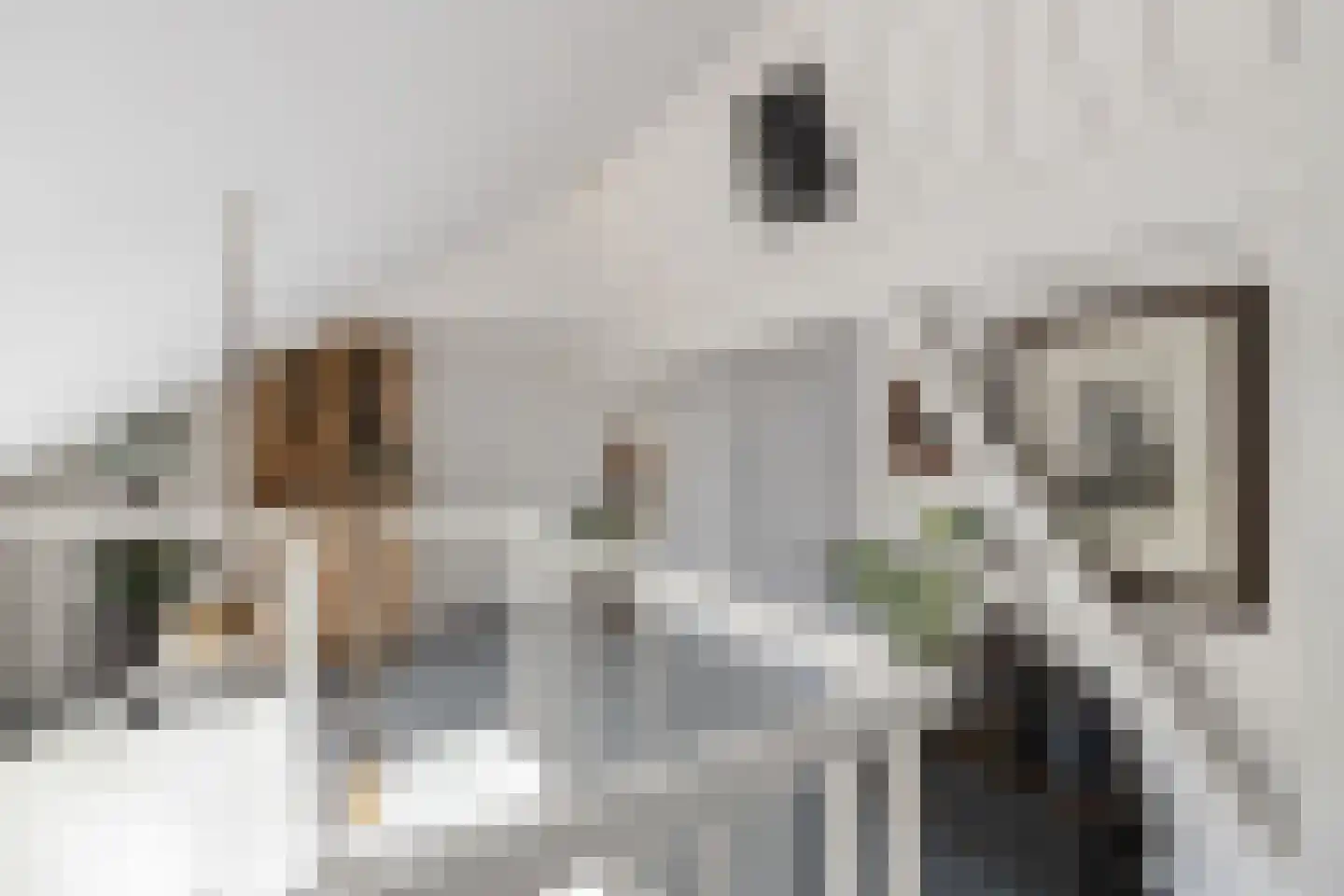 Westeinde 8 Wijngaarden thumbnail 39