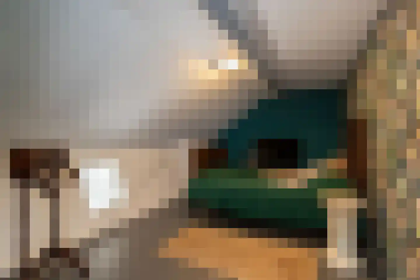 Westeinde 8 Wijngaarden thumbnail 60