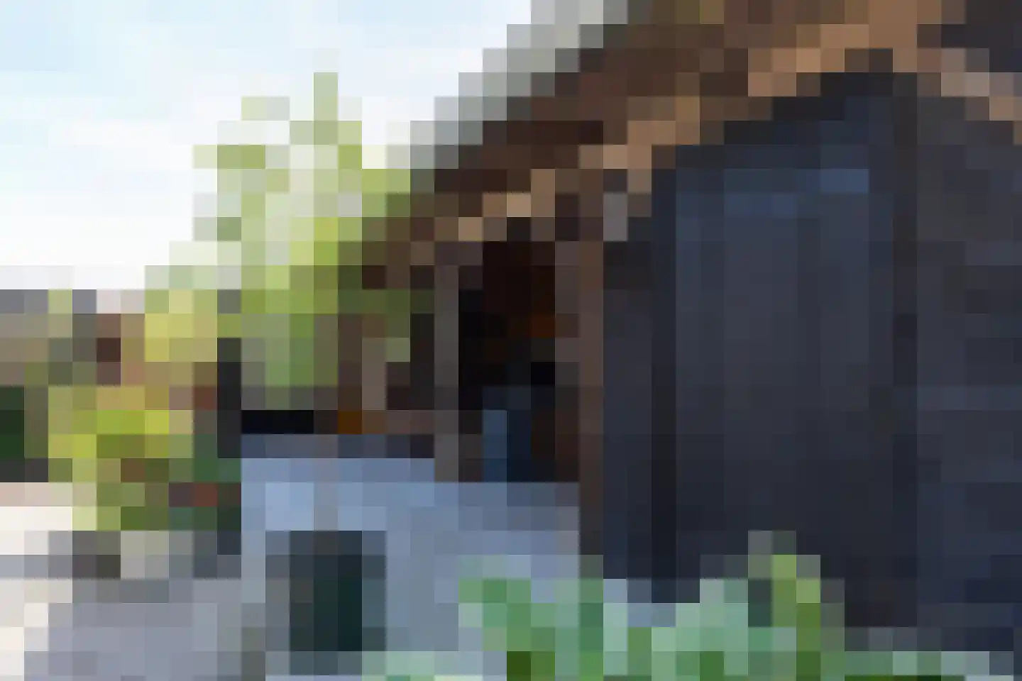 Westeinde 8 Wijngaarden thumbnail 62