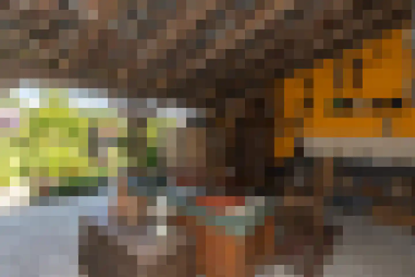 Westeinde 8 Wijngaarden thumbnail 63