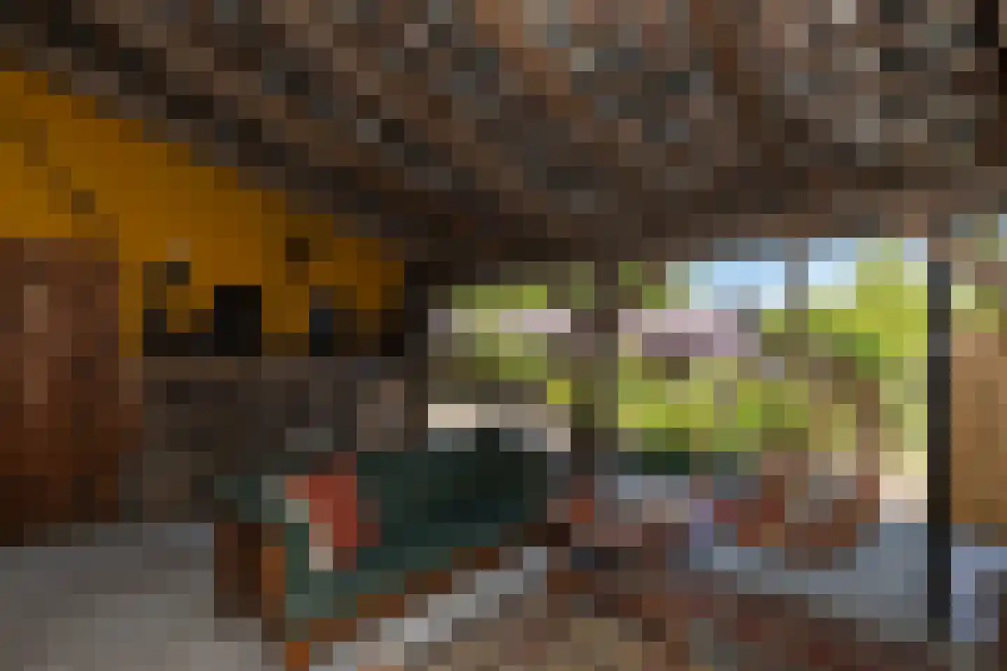 Westeinde 8 Wijngaarden thumbnail 64