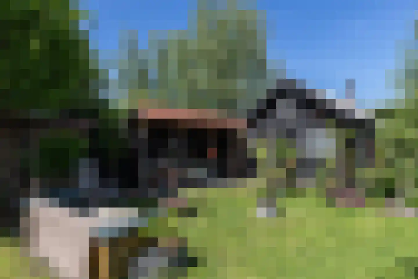 Westeinde 8 Wijngaarden thumbnail 69