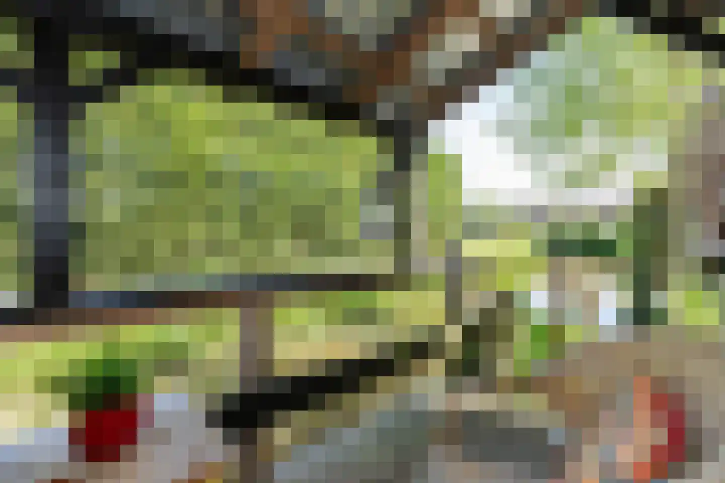 Westeinde 8 Wijngaarden thumbnail 83