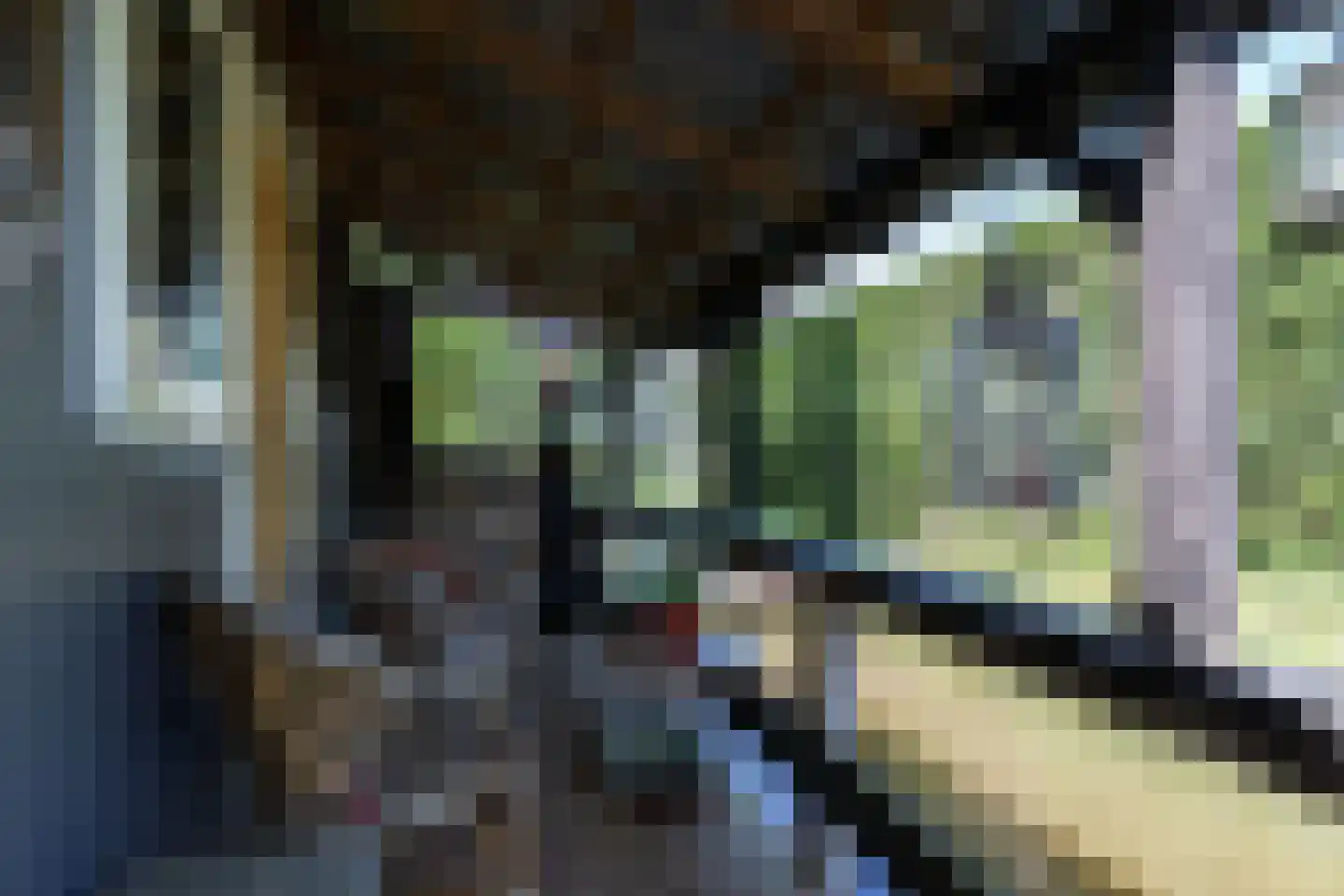 Westeinde 8 Wijngaarden thumbnail 84