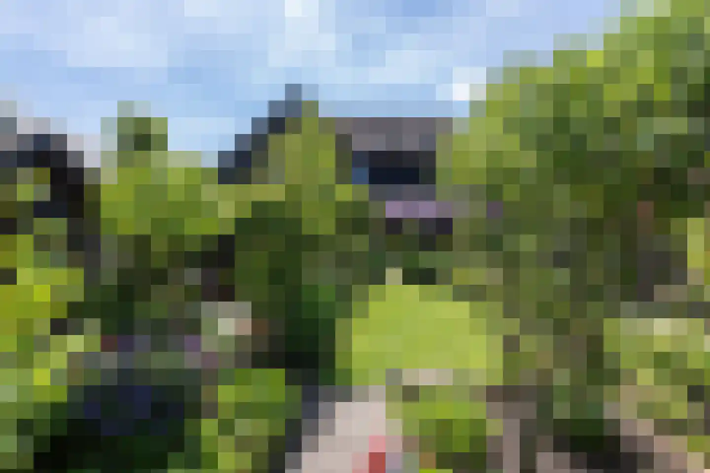 Westeinde 8 Wijngaarden thumbnail 86
