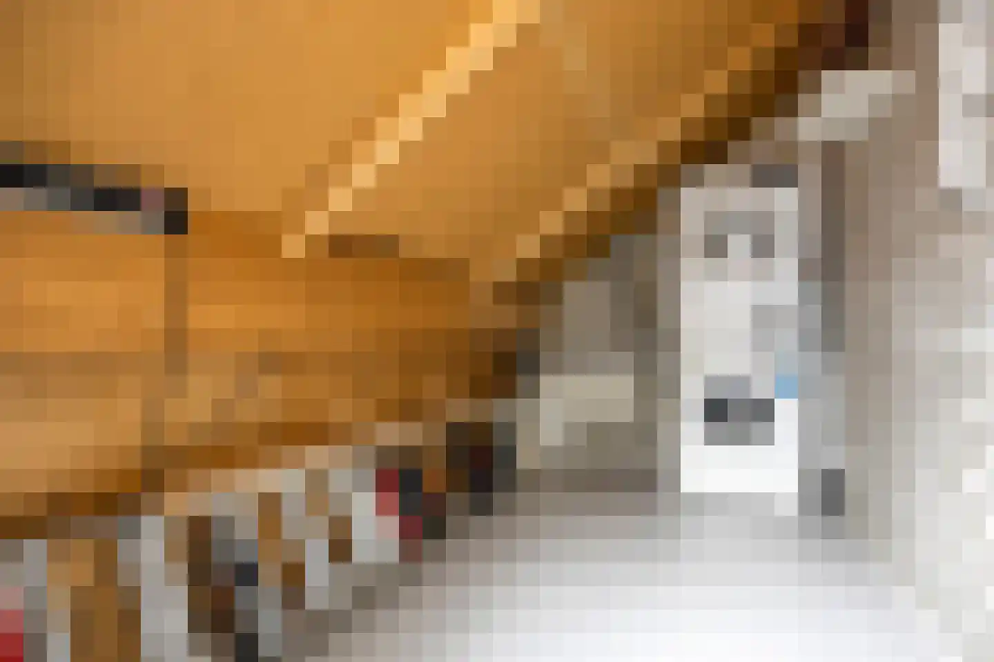 Westeinde 83 h Roelofarendsveen thumbnail 15
