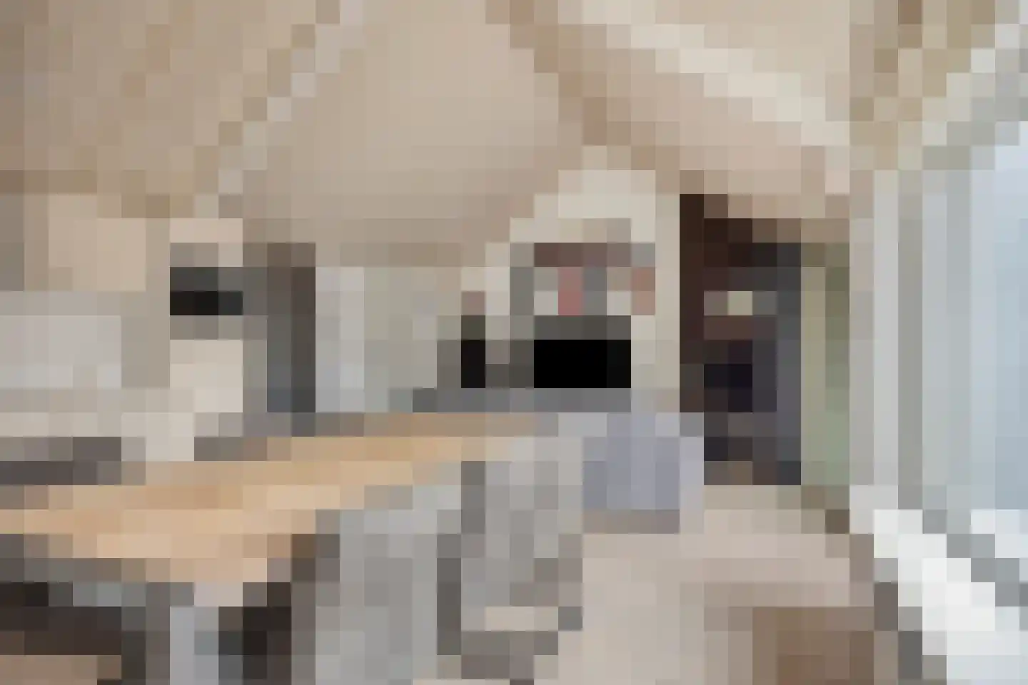 Westeinde 83 h Roelofarendsveen thumbnail 5