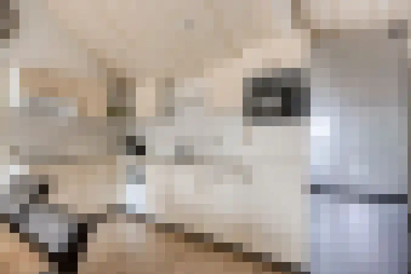 Westeinde 83 h Roelofarendsveen thumbnail 6