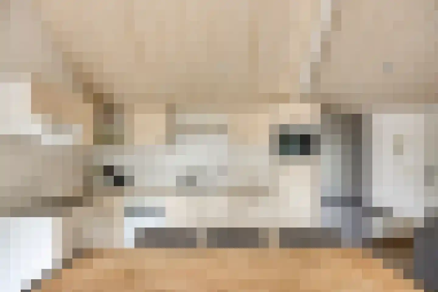 Westeinde 83 h Roelofarendsveen thumbnail 7