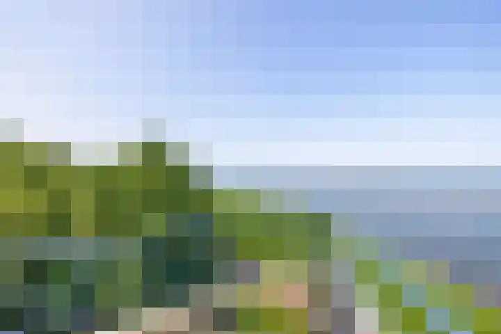 Westeinde 84 B Harderwijk thumbnail 16