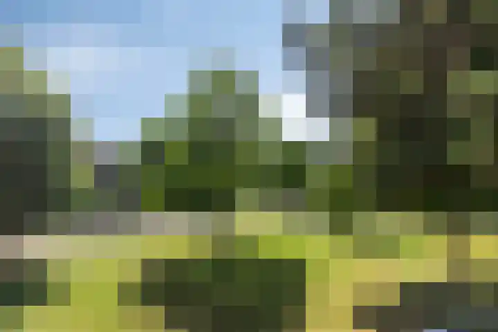 Westeinde 84 Maassluis thumbnail 31