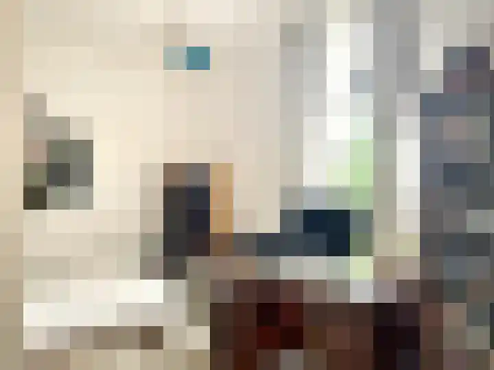 Westeinde 85 Voorburg thumbnail 30