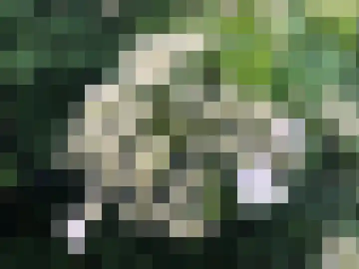 Westeinde 85 Voorburg thumbnail 36