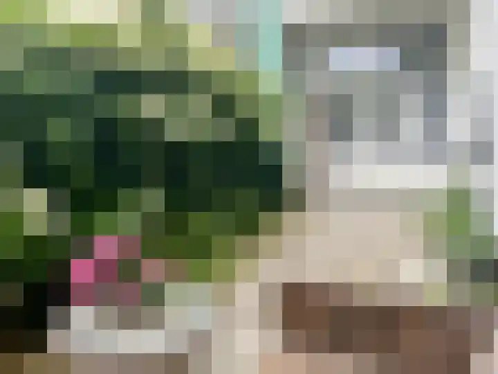 Westeinde 85 Voorburg thumbnail 4
