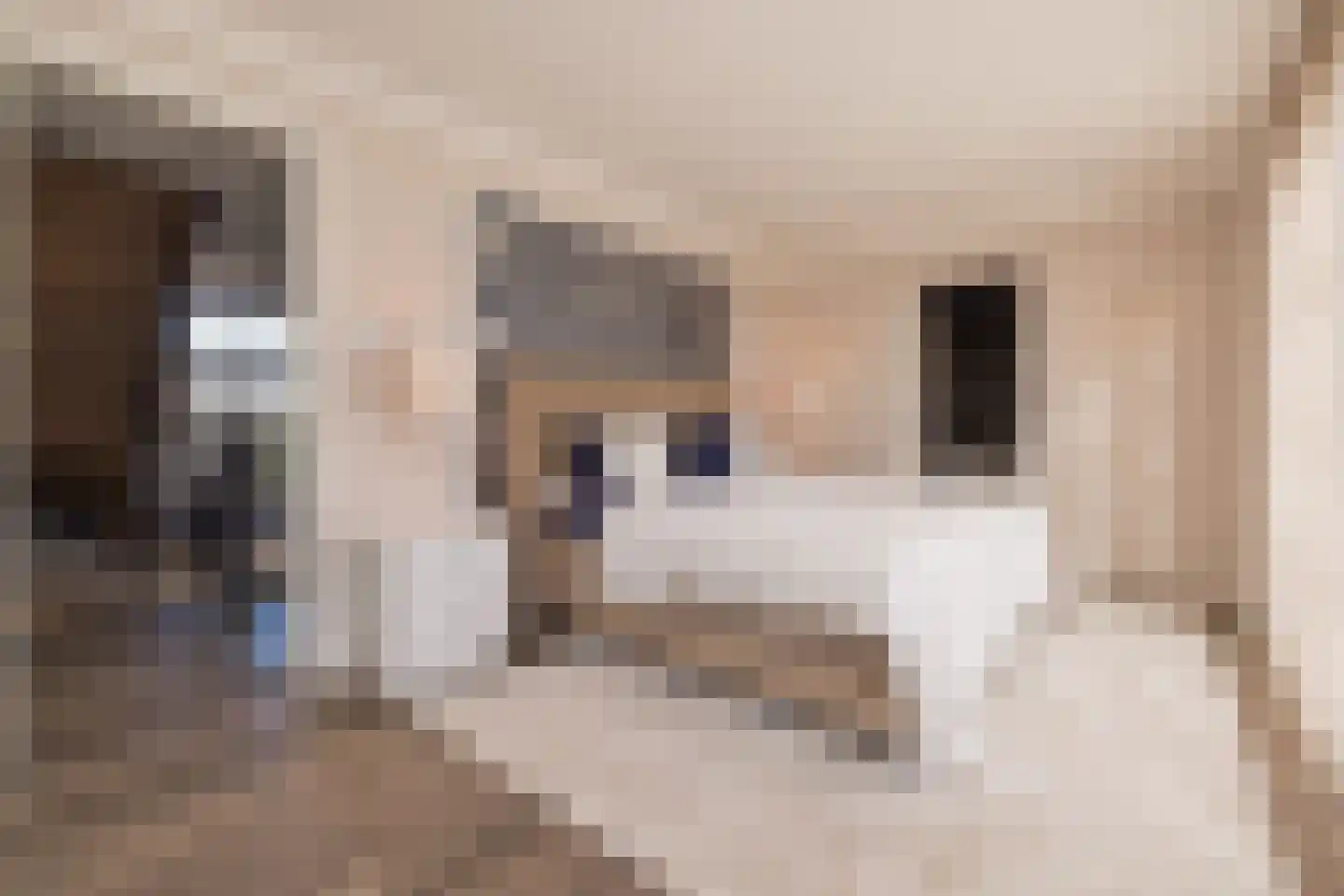 Westeinde 89 A Noordwijkerhout thumbnail 38