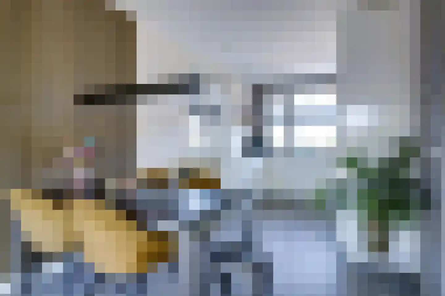 Westeinde 9 Broek op Langedijk thumbnail 16