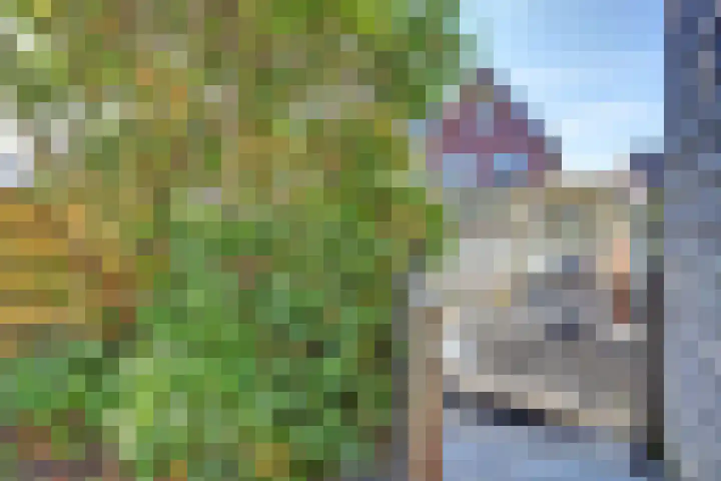 Westeinde 9 Broek op Langedijk thumbnail 46