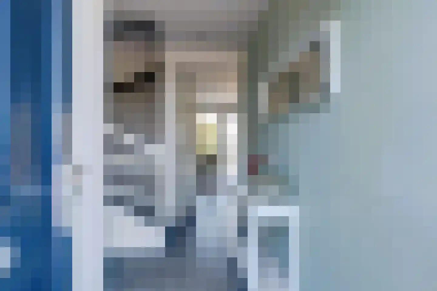 Westeinde 9 Broek op Langedijk thumbnail 6