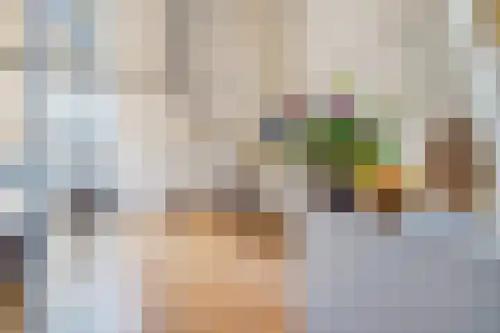 Westeinde 9 E Den Haag thumbnail 6