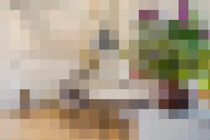 Westeinde 9 E Den Haag thumbnail 7