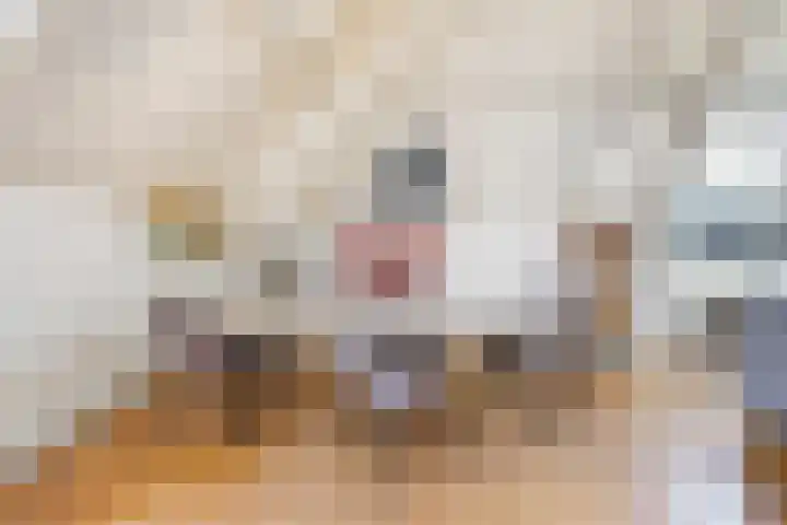 Westeinde 9 E Den Haag thumbnail 8