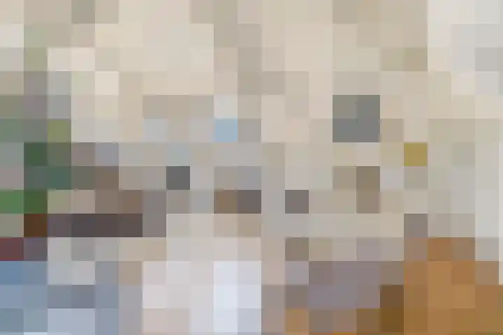Westeinde 9 E Den Haag thumbnail 9