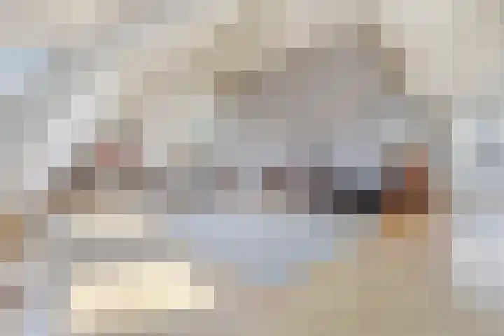 Westeinde 9 E Den Haag thumbnail 17