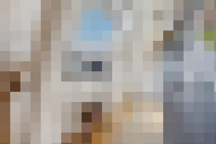 Westeinde 9 E Den Haag thumbnail 18
