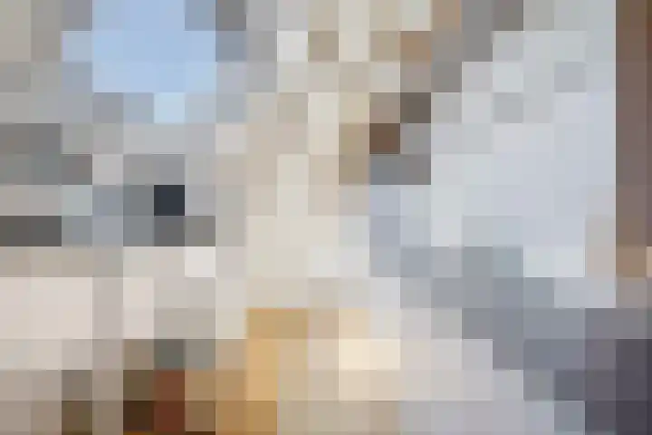 Westeinde 9 E Den Haag thumbnail 19