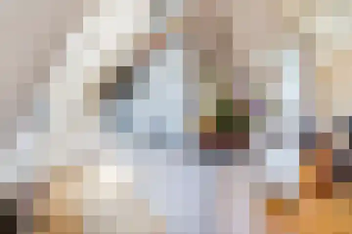 Westeinde 9 E Den Haag thumbnail 20
