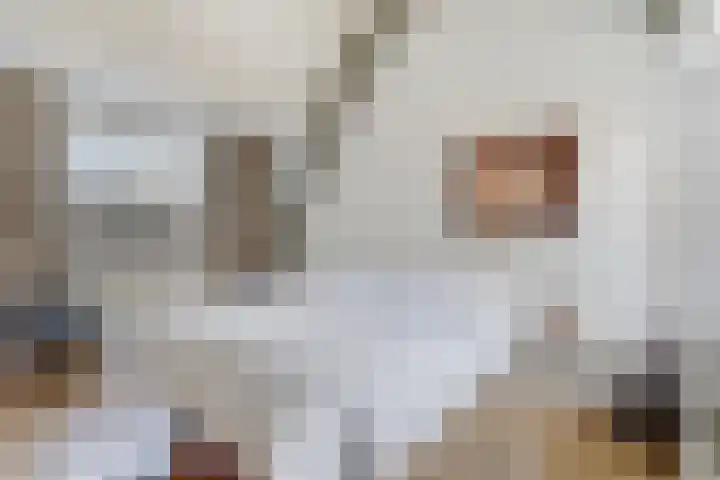 Westeinde 9 E Den Haag thumbnail 27