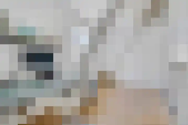 Westeinde 9 E Den Haag thumbnail 38
