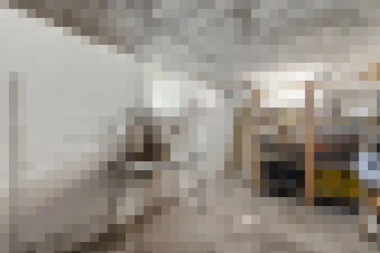 Westeinde 9 Oud-Alblas thumbnail 36