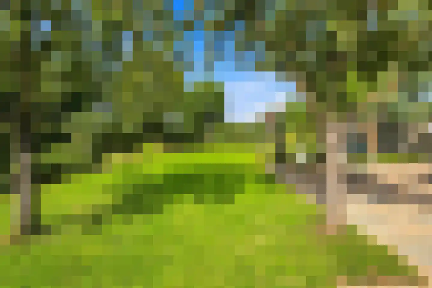 Westeinde 9 Oud-Alblas thumbnail 69
