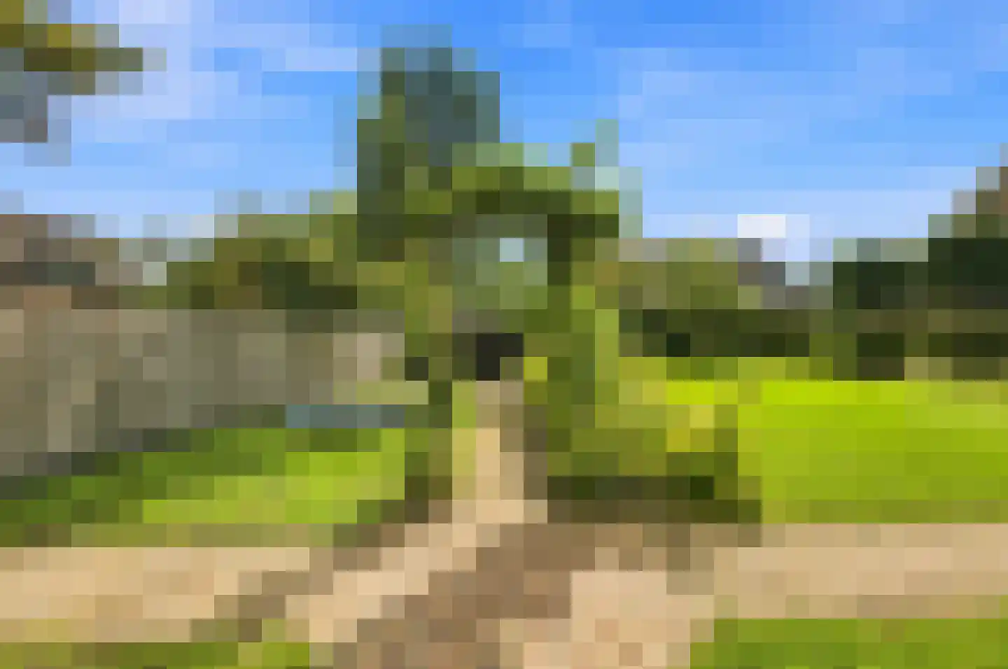 Westeinde 9 Oud-Alblas thumbnail 71