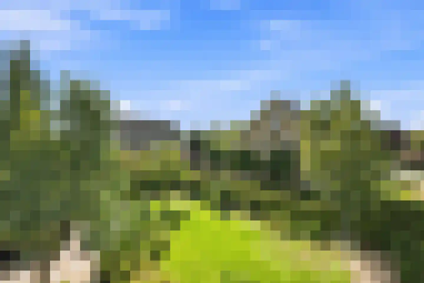 Westeinde 9 Oud-Alblas thumbnail 81