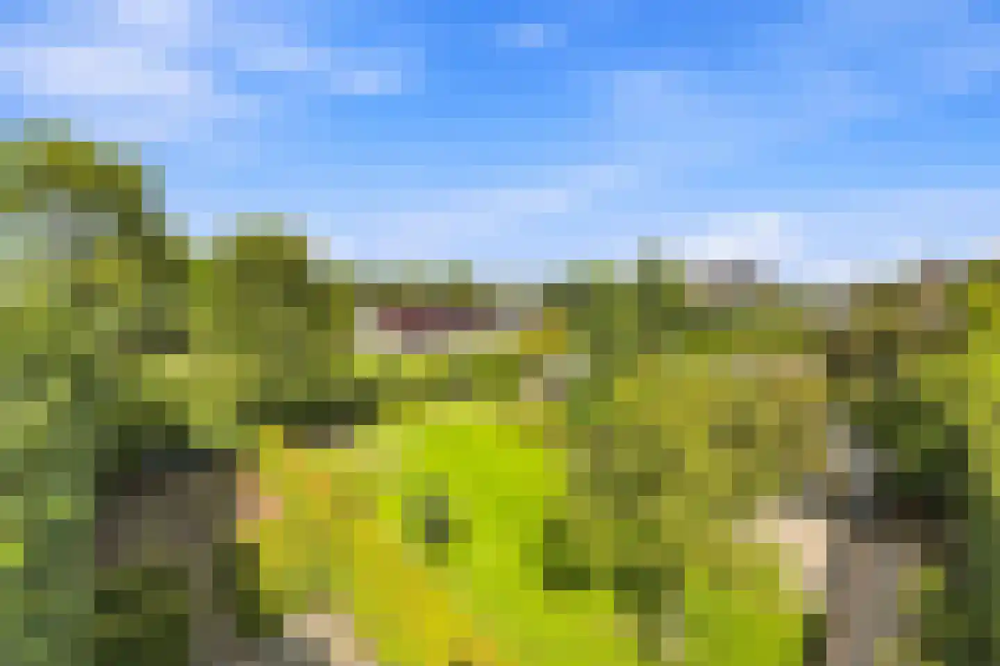 Westeinde 9 Oud-Alblas thumbnail 82