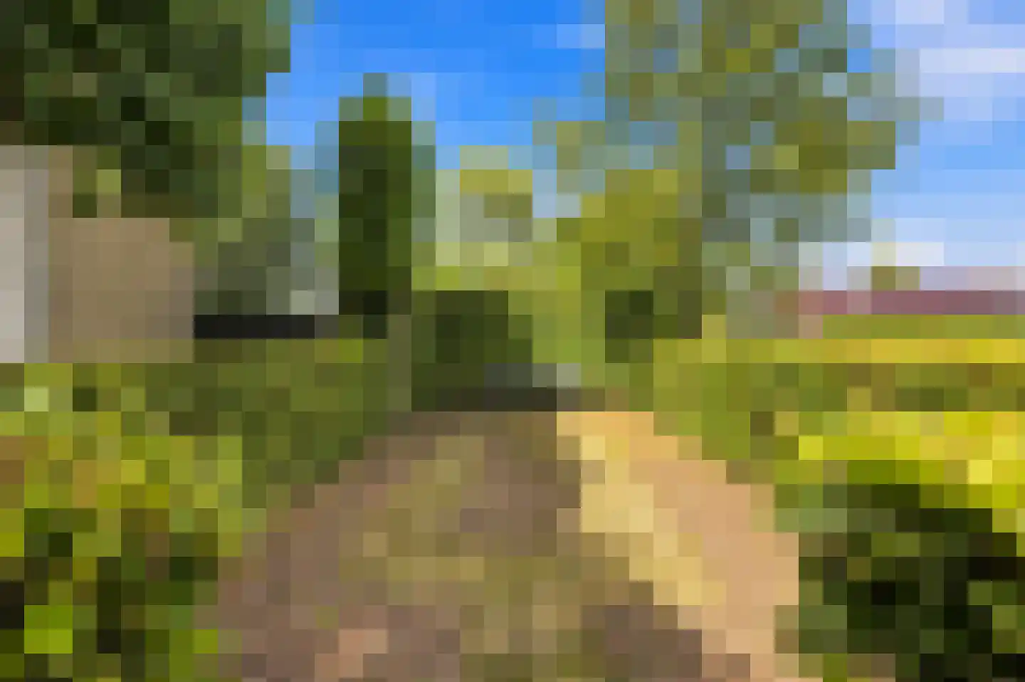 Westeinde 9 Oud-Alblas thumbnail 83