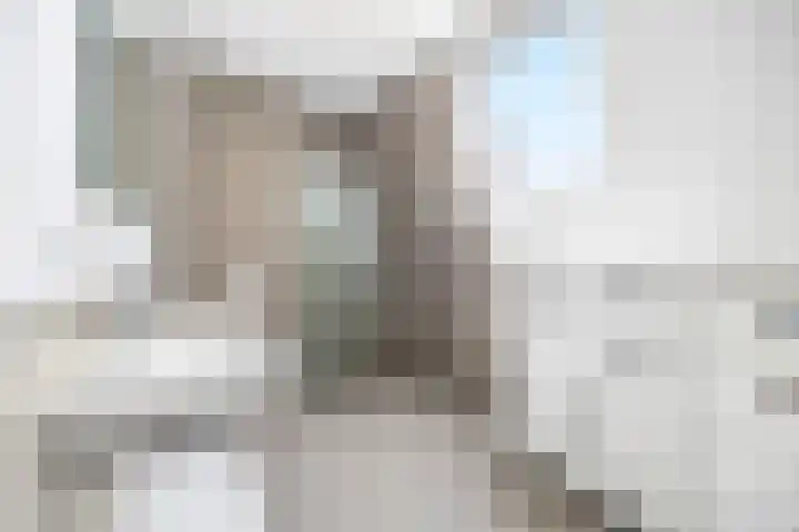 Westeinde 91 G Voorburg thumbnail 21
