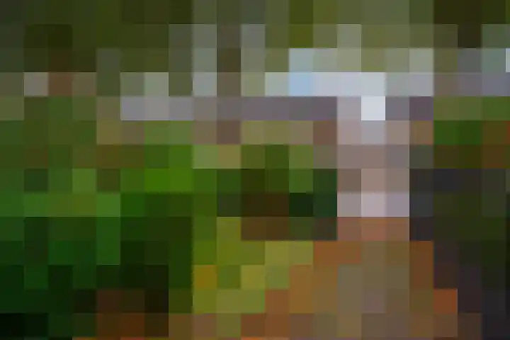 Westeinde 92 Zevenaar thumbnail 31